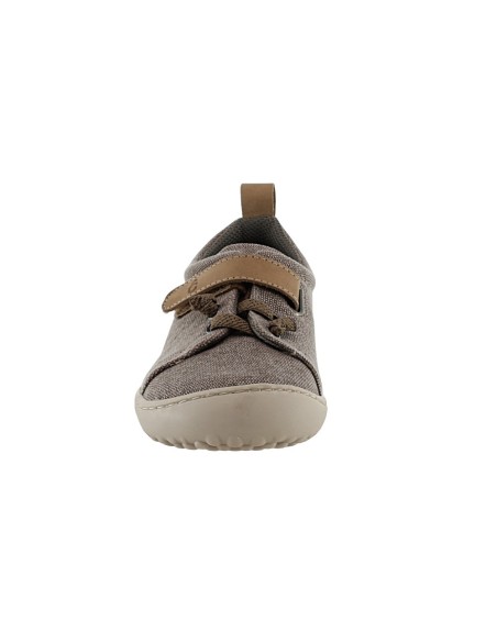 Zapatos respetuosos Coquette Barefoot Piedra