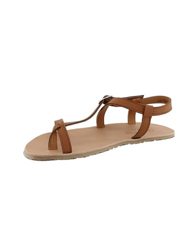 Sandalias barefoot Froddo Flexi W Marrón