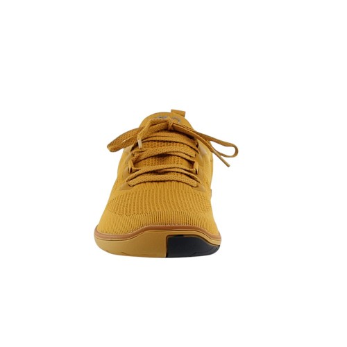Zapatillas barefoot Xero Nexus Knit Gold 2